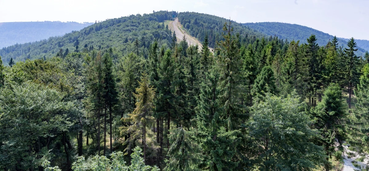 Jedna osoba zabłądziła minionej doby w Beskidach w rejonie Gilowic. Na szczęście została odnaleziona. Dziś, w pierwszy powakacyjny weekend, na beskidzkich szlakach panują dobre warunki do wędrowania. 