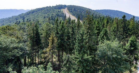 Jedna osoba zabłądziła minionej doby w Beskidach w rejonie Gilowic. Na szczęście została odnaleziona. Dziś, w pierwszy powakacyjny weekend, na beskidzkich szlakach panują dobre warunki do wędrowania. 