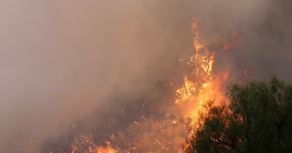 Wielka ewakuacja w Kalifornii. W pożarze zostało uwięzionych dziesiątki osób. Straż pożarna za pomocą helikopterów prowadzi akcję ratunkową.