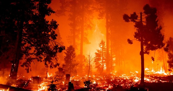 Pożary w Kalifornii strawił w tym roku obszar blisko miliona hektarów. W pięciu hrabstwach obowiązuje stan wyjątkowy. Z kolei w Los Angeles w niedzielę odnotowano najwyższą temperaturę w historii hrabstwa.