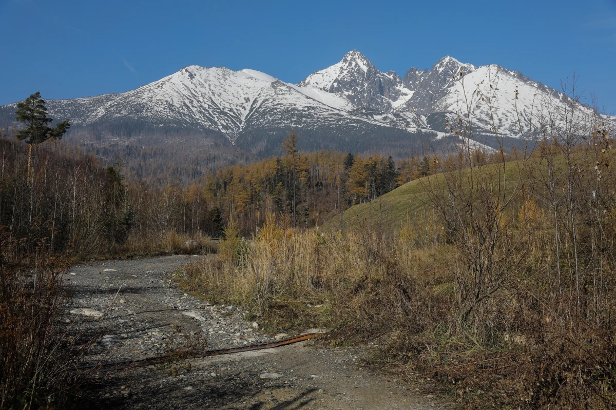 W Tatrach doszło do dwóch śmiertelnych wypadków. Najpierw ratownicy górscy odnaleźli w masywie Rysów ciało młodej turystki. Kobieta na wyprawę wyruszyła wczoraj od strony Słowacji. Nie wróciła na noc – poinformował ratownik dyżurny TOPR. Po południu ratownicy poinformowali również o śmiertelnym wypadku w rejonie Orlej Perci.
