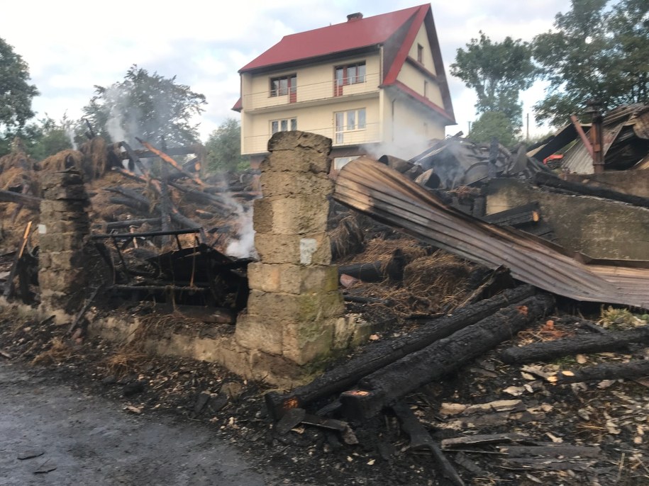 /Marek Wiosło /RMF FM