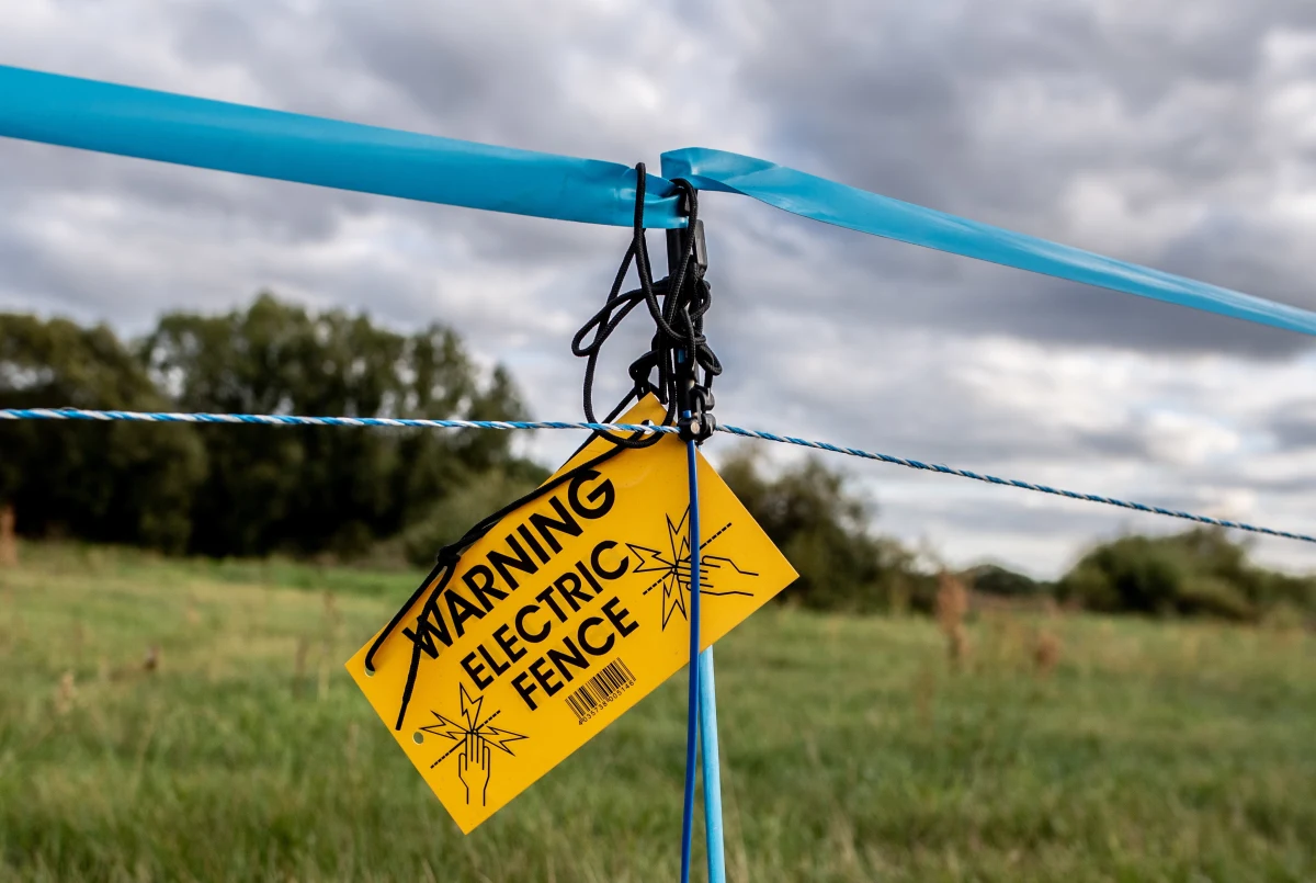 Pierwszy przypadek ASF w Niemczech został oficjalnie potwierdzony u padłego dzika, znalezionego w graniczącym z Polską powiecie Szprewa-Nysa w Brandenburgii. W związku z tym wzdłuż granicy landu Brandenburgia Niemcy ustalili elektryczne pastuchy, które mają odstraszać dziki z Polski.