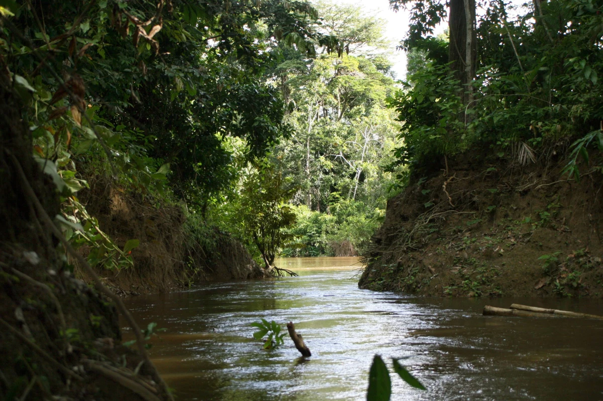 ​Ekspert od amazońskich plemion został zabity podczas próby podejścia do nieskontaktowanej grupy w rejonie - podają media. Rieli Franciscato był przedstawicielem rządowej brazylijskiej agencji ds. ludności rdzennej.