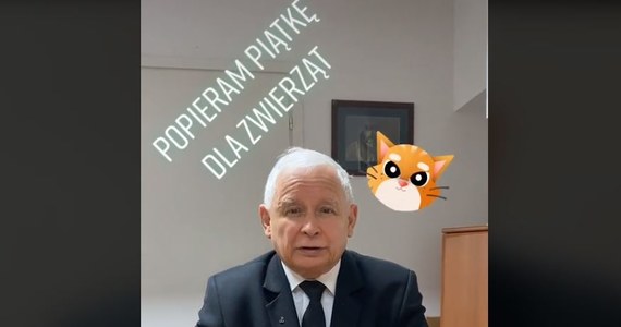 #StopFurChallenge - tak nazywa się akcja, którą rozpoczął na TikToku PiS. Chodzi o poparcie dla tzw. piątki dla zwierząt - czyli projektu zakazującego m.in. hodowli zwierząt na futra.