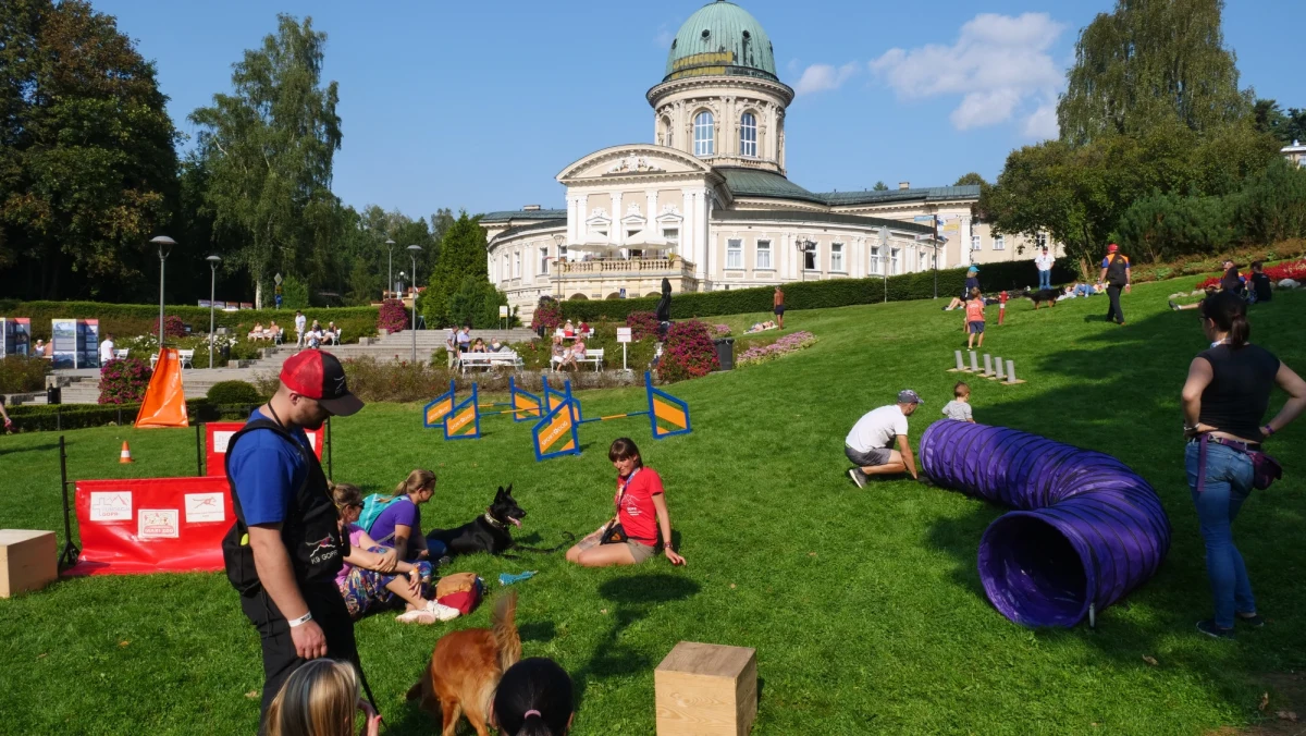 25. jubileuszowy Festiwal Górski w Lądku-Zdroju, rozpoczęty w piątek 11 września, miał w swoim programie wyjątkowy festiwalowy Dzień Psa-Ratownika. 11 czworonożnych ratowników wraz z ich opiekunami z GOPR prezentowało swoje umiejętności przed licznie zgromadzoną widownią, złożona z uczestników festiwalu i kuracjuszy przebywających w tym dolnośląskim kurorcie.
