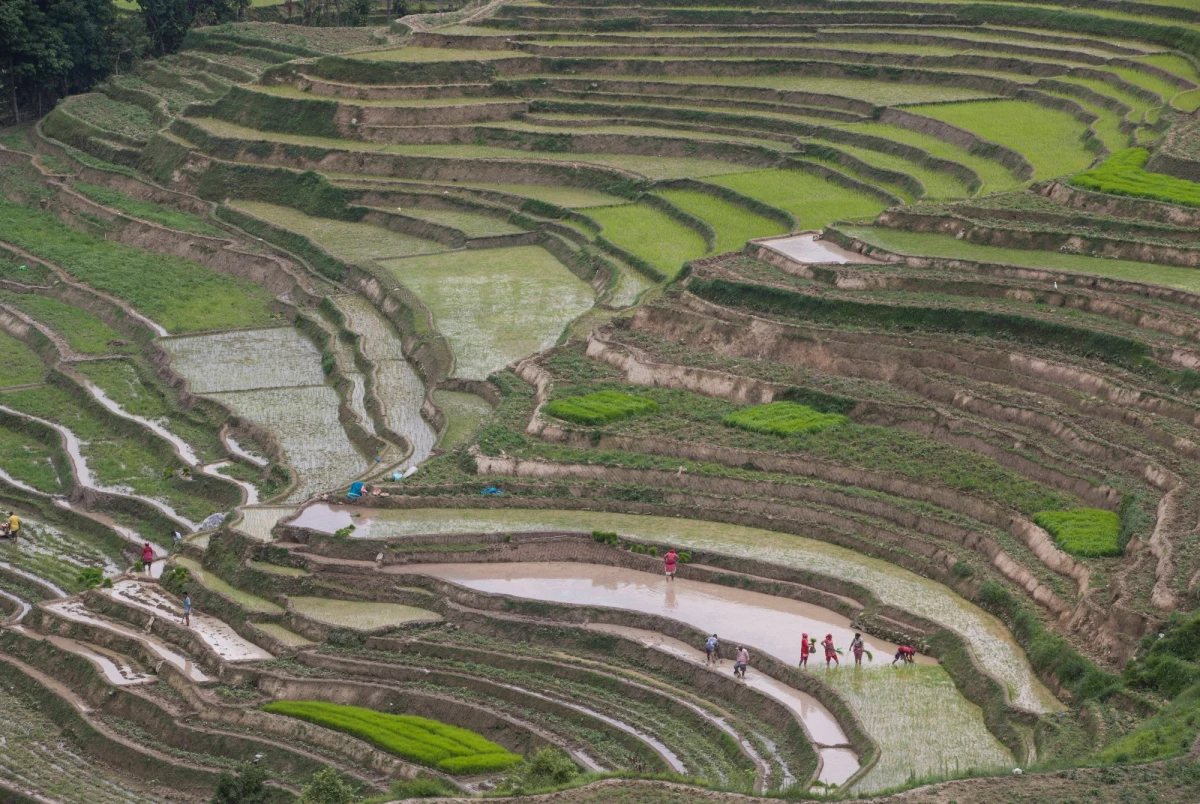 ​Do osunięcia się błota i kamieni w wyniku monsunowych deszczów doszło w niedzielę w trzech nepalskich górskich wioskach  - zginęło co najmniej 6 ludzi, 26 uznano za zaginione.