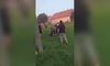 Pobili policjantów. Sąsiadka: "To są tacy fajni ludzie, zawsze się ukłonią". (Polsat News)