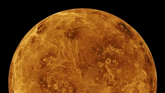 Ślady życia na Wenus? Przełomowe odkrycie naukowców