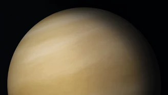 Życie na Wenus? NASA rozważa wysłanie czterech sond