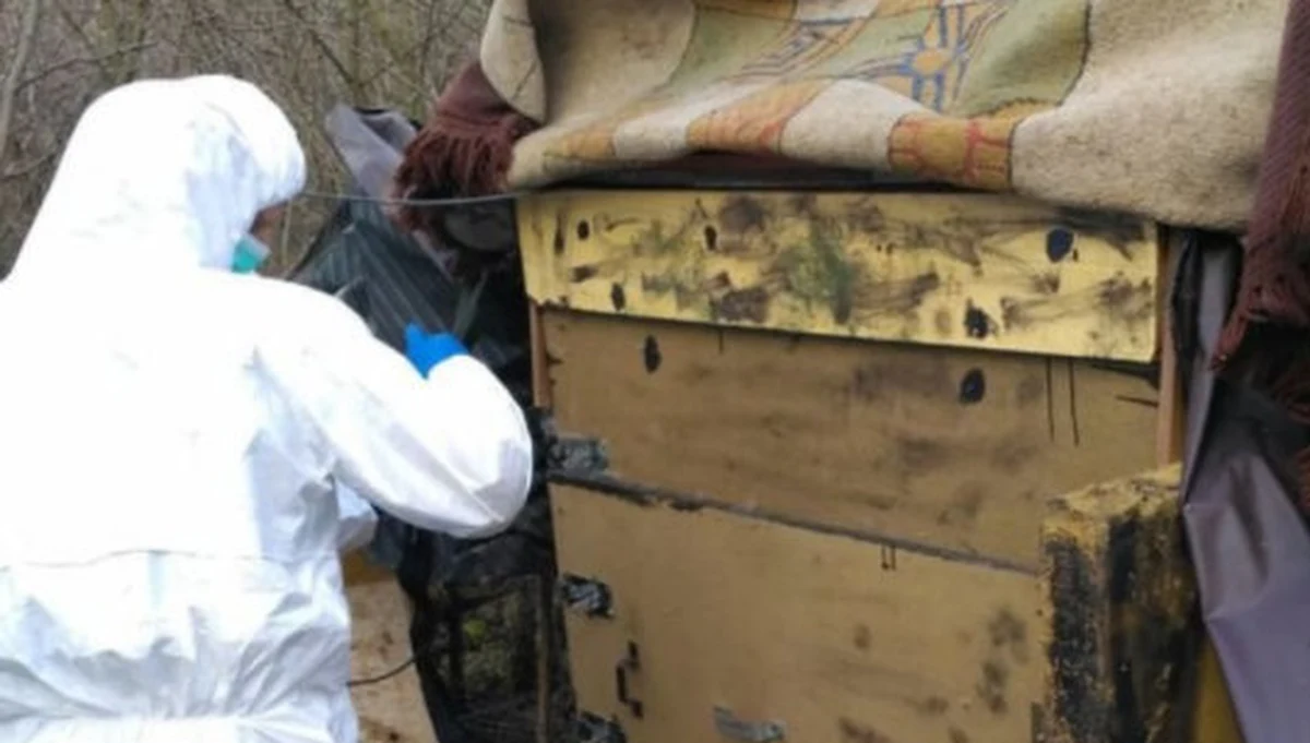 Krakowski sąd wymierzył kary 15 i 2 lat więzienia dwóm mężczyznom oskarżonym m.in. o uprowadzenie dla okupu 76-letniego biznesmena. Porwany mężczyzna zmarł. Materiały dowodowe zebrano m.in. podczas badania sprawy zabójstwa Alicji i Piotra Jaroszewiczów. 