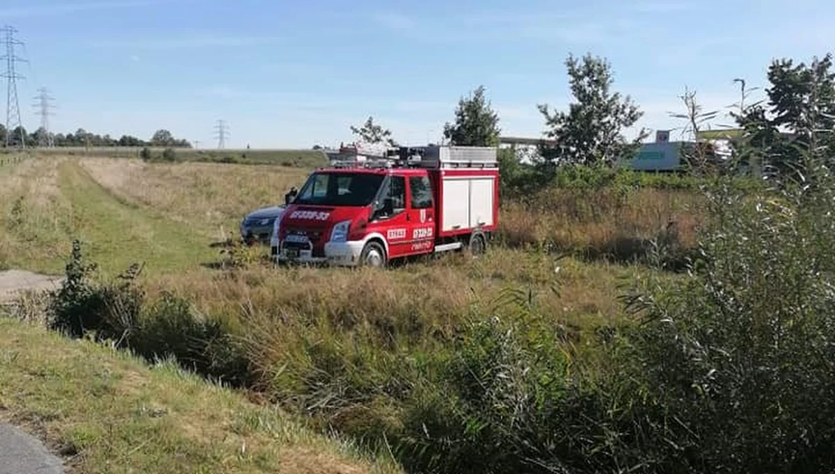 ​Tragiczny finał poszukiwał byłego piłkarza Lechii Gdańsk. Jak podaje "Dziennik Bałtycki", ciało 71-letniego Henryka Kliszewicza odnaleziono w miejscowości Koszwały na Pomorzu.