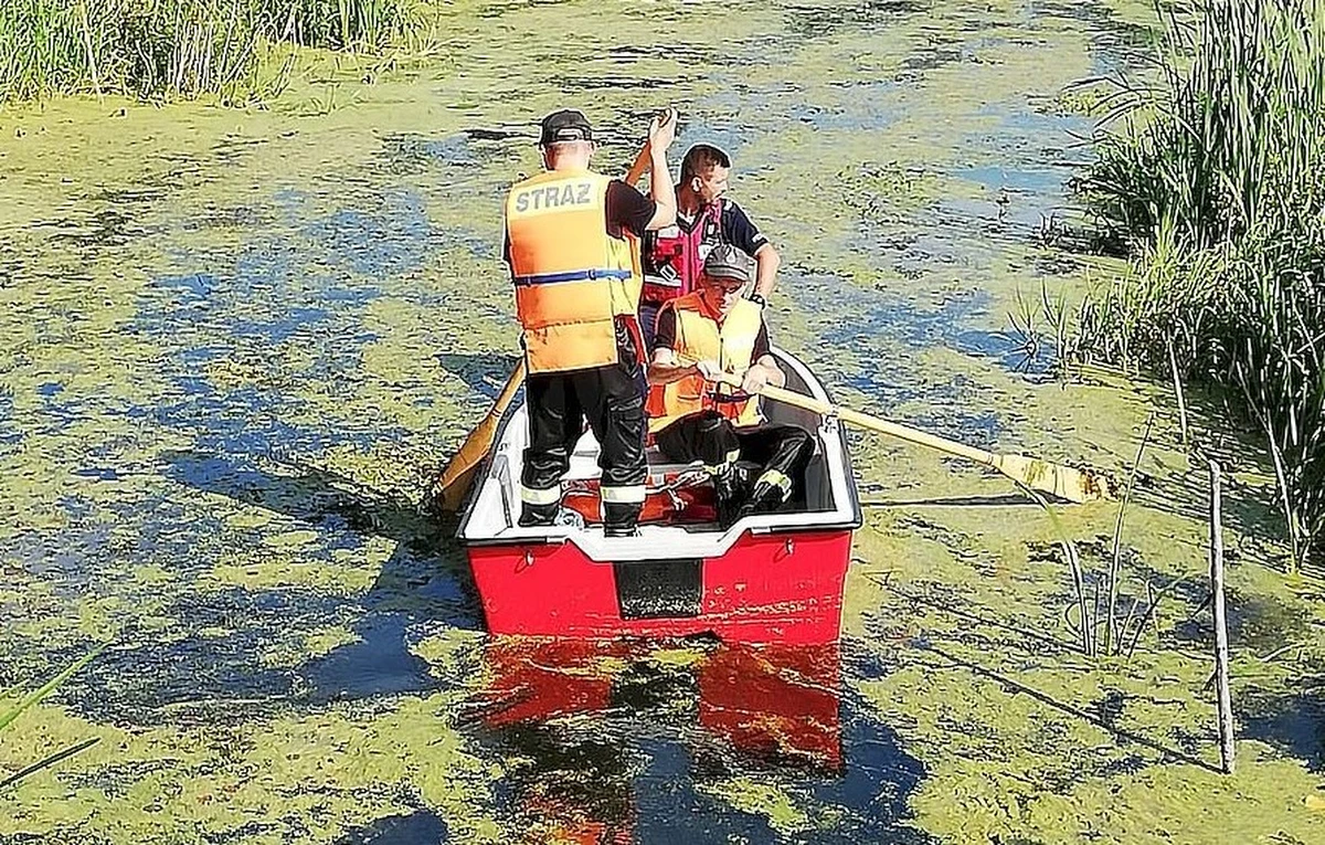 Policja poinformowała o zakończeniu poszukiwań 25-latka z gminy Czemierniki w województwie lubelskim. Jego ciało odnaleziono wczoraj ok. 1,5 km od domu.