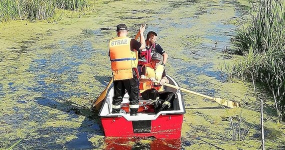 Policja poinformowała o zakończeniu poszukiwań 25-latka z gminy Czemierniki w województwie lubelskim. Jego ciało odnaleziono wczoraj ok. 1,5 km od domu.