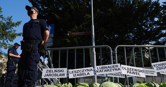 Przed gmachem Sejmu zorganizowano symboliczny protest rolników i hodowców zwierząt przeciwko „Piątce dla zwierząt”. Wzdłuż ulicy Wiejskiej uczestnicy pikiety ustawili kilkaset główek kapusty.