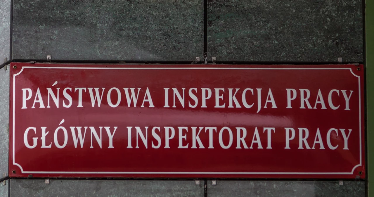 Państwowa Inspekcja Pracy