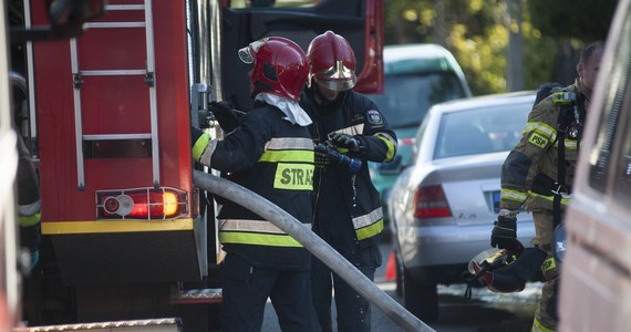 Dwaj chłopcy w wieku 4 i 9 lat są odpowiedzialni za pożar dwóch samochodów w Tczewie w woj. pomorskim. Dwa pojazdy spłonęły we wtorek przy ulicy Ogrodowej. Od tego czasu szukano sprawców podpalenia. Rezultaty zaskoczyły nawet samych policjantów. 