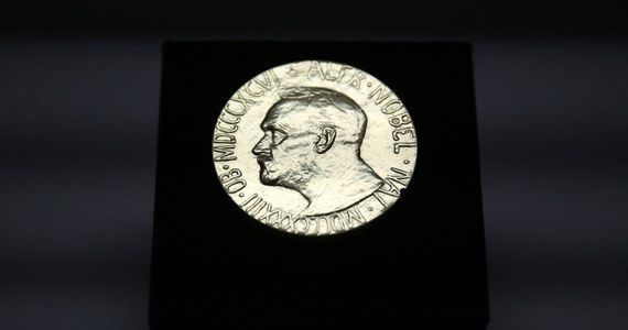 ​Wartość pieniężna Nagrody Nobla wzrośnie od tego roku o 1 mln koron (95 tys. euro) - poinformowała w czwartek Fundacja Noblowska. Oznacza to, że laureat każdej z sześciu dziedzin otrzyma po 10 mln koron (950 tys. euro).