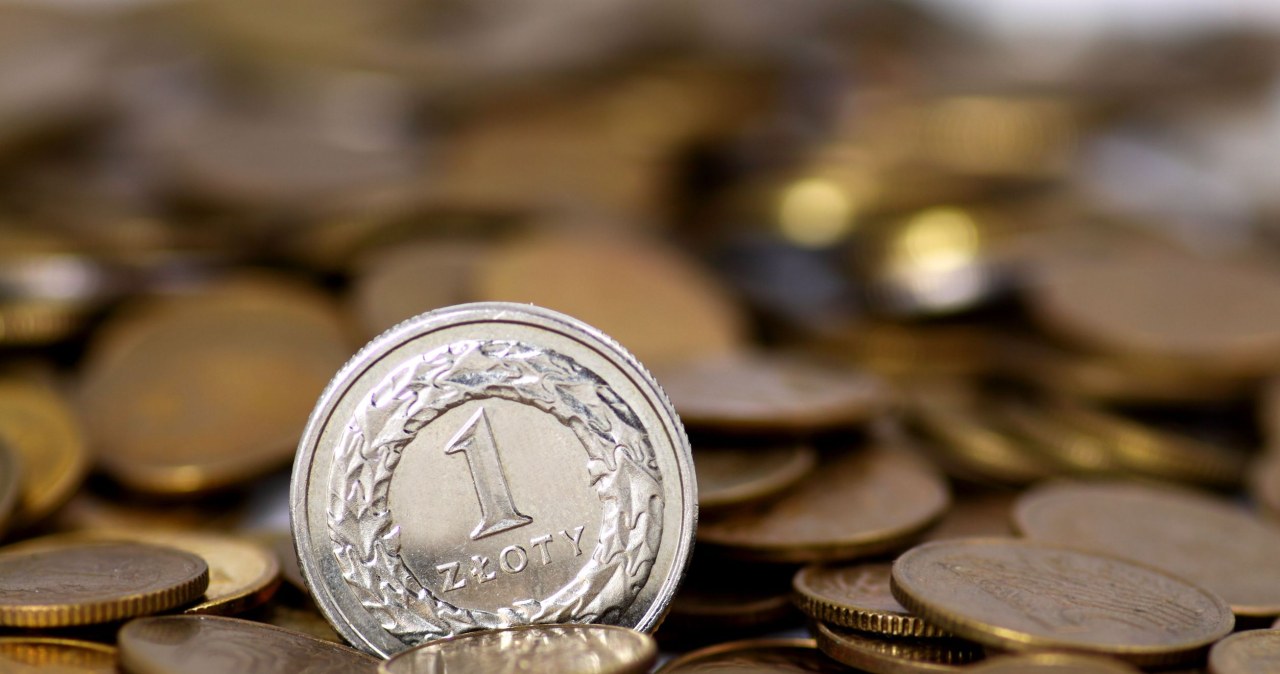 Kursy walut. Znamy projekt budżetu. Złoty stabilny, dolar w odwrocie