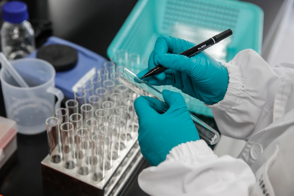 W styczniu w Wielkiej Brytanii mają rozpocząć się testy szczepionek na ludziach celowo zakażonych koronawirusem. To będzie pierwsza taka próba na świecie. 