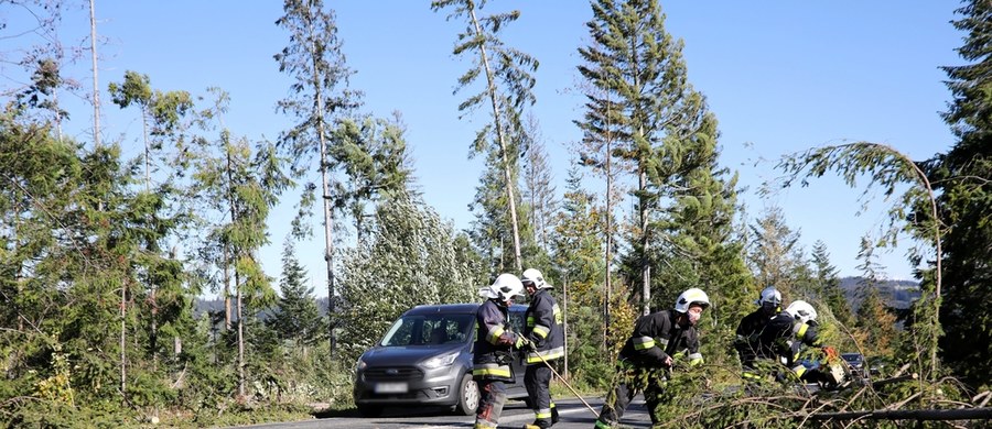 W związku z silnym wiatrem straż pożarna odnotowała w Polsce ponad 1400 interwencji - poinformował Grzegorz Świszcz, zastępca dyrektora Rządowego Centrum Bezpieczeństwa. Jak dodał, bez prądu pozostaje około 68,9 tys. odbiorców.