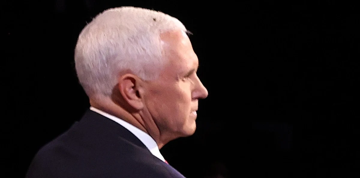 Wiceprezydent Mike Pence kontra senator Kamala Harris. W Salt Lake City odbyło się jedyne bezpośrednie starcie kandydatów na wiceprezydenta USA przed nadchodzącymi wyborami. Wśród tematów był oczywiście koronawirus, a także polityka zagraniczna. Dużą popularność w sieci zdobyło nagranie, na którym widać muchę, która przez ponad dwie minuty siedziała na głowie Pence'a w czasie debaty.