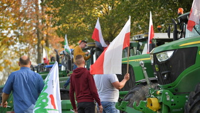 Nowy tydzień w polityce. Spotkanie premiera z opozycją, "piątka dla zwierząt" i demonstracje rolników 