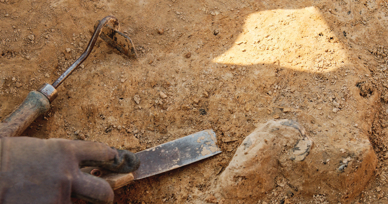 Na Dolnym Śląsku mnożą się ciekawe odkrycia archeologiczne - nie tylko te pochodzące z wykopalisk, ale i takie, na które natrafiono przypadkowo. Z regionu napływają informacje o odsłonięciach artefaktów m.in. z epoki brązu i z epoki żelaza. Wyjątkowości niektórym elementom dodaje fakt, że wcześniej raczej nie spotykano podobnych zabytków na wybranych obszarach. "Tutaj nie mamy takich znalezisk, tak starych", komentował kwestię najnowszych odkryć ekspert.