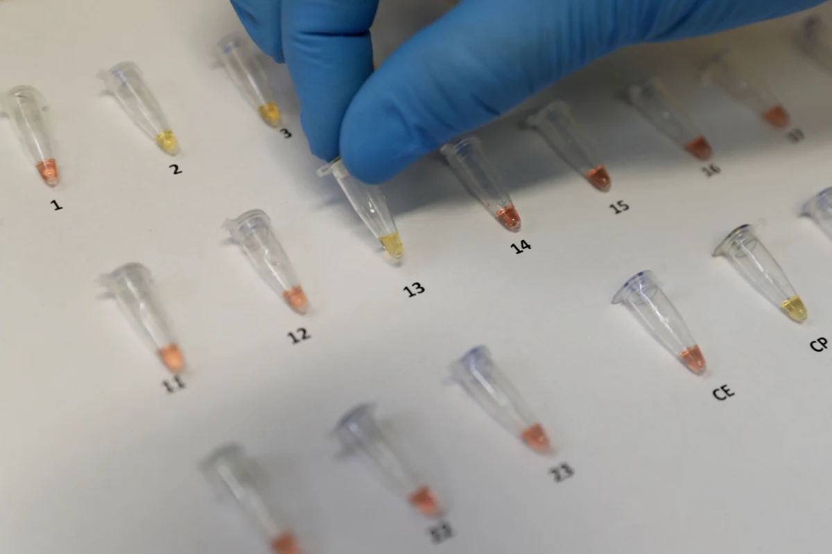 Ministerstwo Zdrowia poinformowało o 4394 nowych przypadkach zakażenia koronawirusem. Ostatniej doby zmarło 35 chorych na Covid-19. Bilans pandemii koronawirusa w Polsce wzrósł tym samym do 130 210 zakażonych. Nie żyje 3 039  spośród nich.