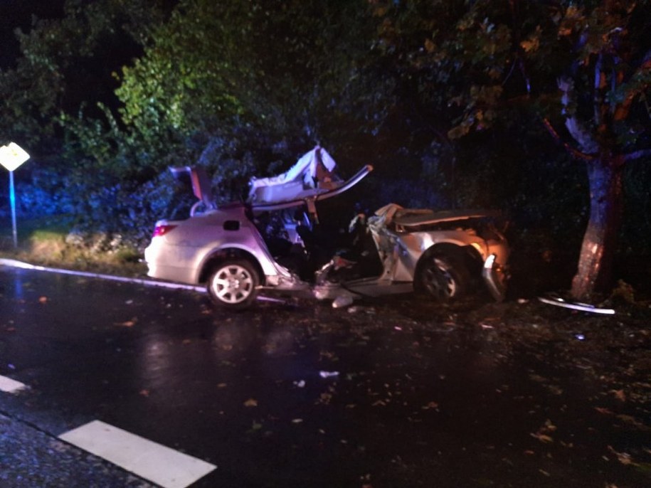 /foto. Policja w Rybniku /