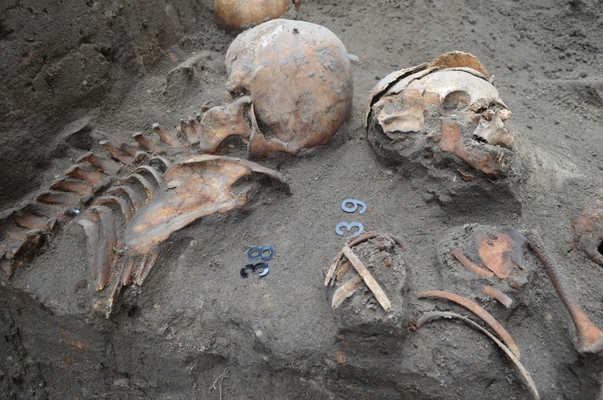 W maju informowaliśmy o odkryciu w Krakowie największego cmentarza z końca XV wieku. Pełnił on funkcje pierwszej komunalnej nekropolii w mieście. Dzisiaj podsumowujemy odkrycia archeologiczne w centrum miasta: ul. Łobzowskiej, Garbarskiej i placu Biskupim. Okazuje się, że podczas budowy sieci ciepłowniczej MPEC, natrafiono tam na aż dwa cmentarze z 63 pełnymi pochówkami. Oprócz nich odkryto 3 ossuaria, czyli groby masowe. Łącznie ze wszystkich 3 ossuariów mamy blisko 300 worków kości – przyznaje archeolog Beata Golińska.