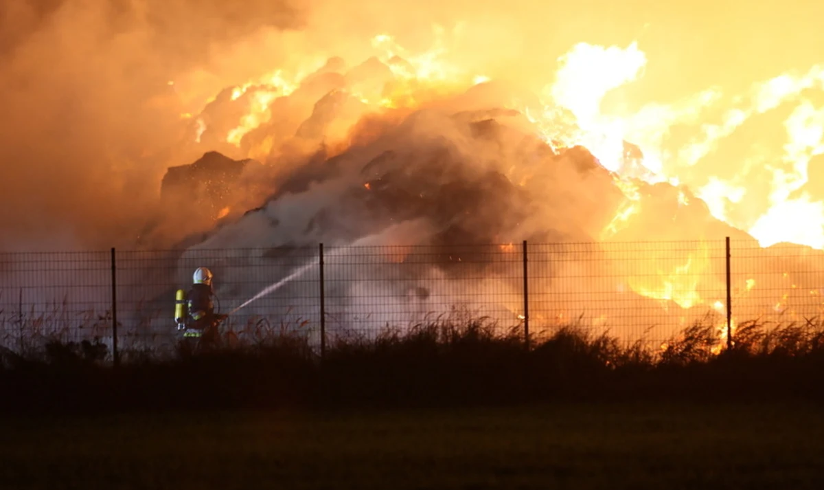 W Przytocznej (Lubuskie) strażacy nadal gaszą pożar, który w sobotę po południu wybuchł na terenie firmy zajmującej się produkcją pelletu ze słomy. Na miejscu pracuje 18 zastępów zawodowej i ochotniczej straży. W wyniku zdarzenia nikt nie został ranny - poinformował rzecznik lubuskiej Straży Pożarnej Dariusz Szymura.