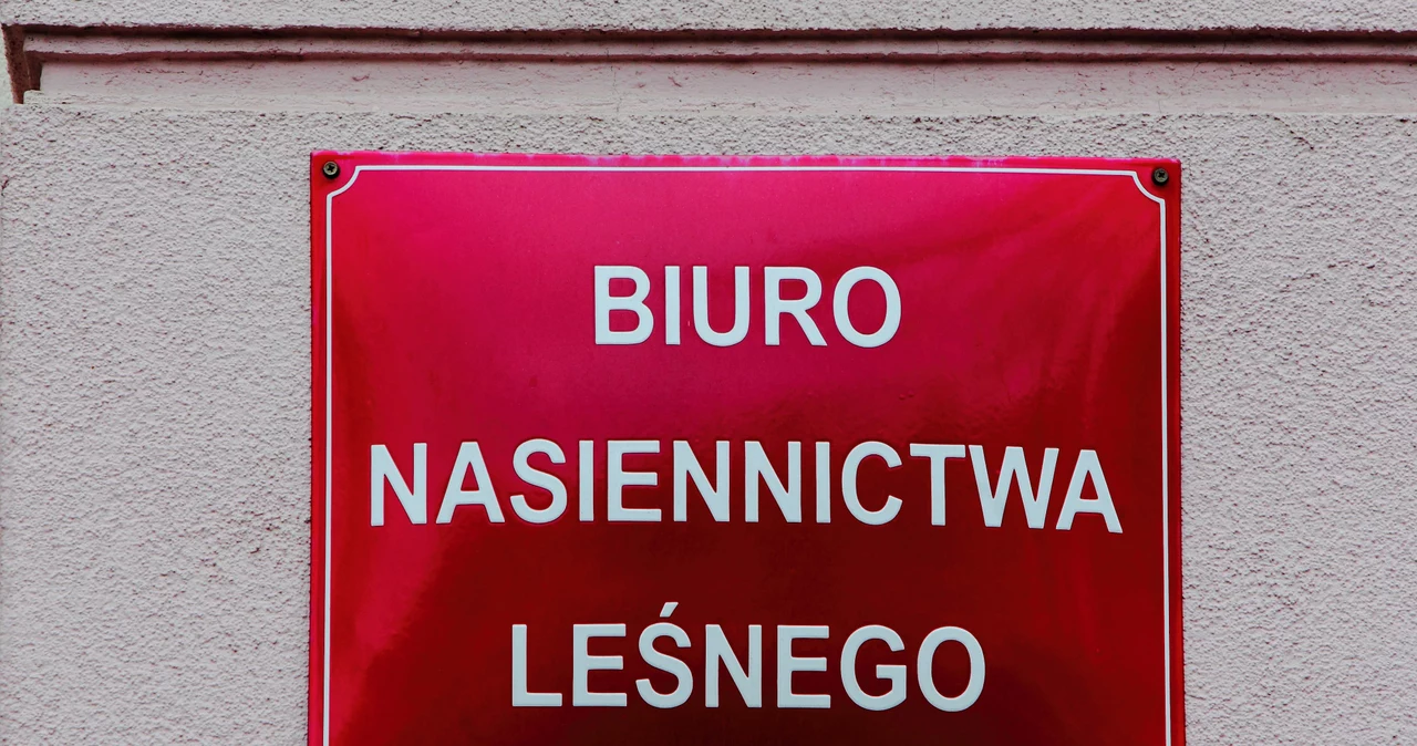 Tablica informacyjna Biura Nasiennictwa Leśnego