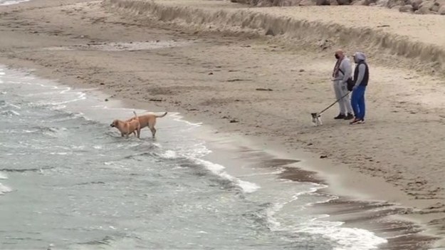 2,5 miliona złotych zniknęło razem z wiatrem. To pieniądze, które wiosną wydano na poszerzanie plaży w Gdyni-Orłowie. 40 metrów szerokości plaży zabrał szalejący tam sztorm.