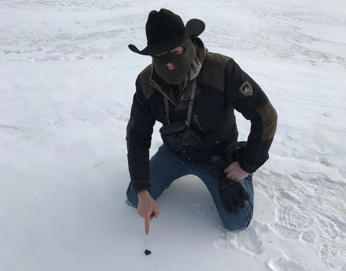 Nocą, 16 stycznia 2018 roku nad amerykańskim Środkowym Zachodem i kanadyjską prowincją Ontario rozbłysła ognista kula, meteor przeciął niebo, by wylądować na zamarzniętym jeziorze w stanie Michigan. Naukowcy i łowcy meteorytów byli w stanie szybko zlokalizować jego odłamki, by zabezpieczyć je zanim jeszcze wpadną do wody. Badania, których wyniki publikuje czasopismo "Meteoritics & Planetary Science", pokazały, że kosmiczny kamyk przyniósł substancje organiczne nie z tej Ziemi. 