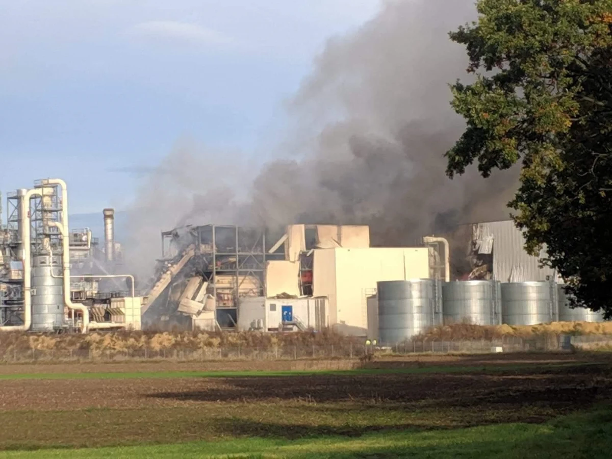 Już ponad 12 godzin trwa akcja strażaków gaszących pożar w zakładzie produkującym płyty wiórowe w Strzelcach Opolskich. Na miejscu nadal jest około 20 strażackich wozów. Na szczęście z powodu pożaru nikt nie ucierpiał.
