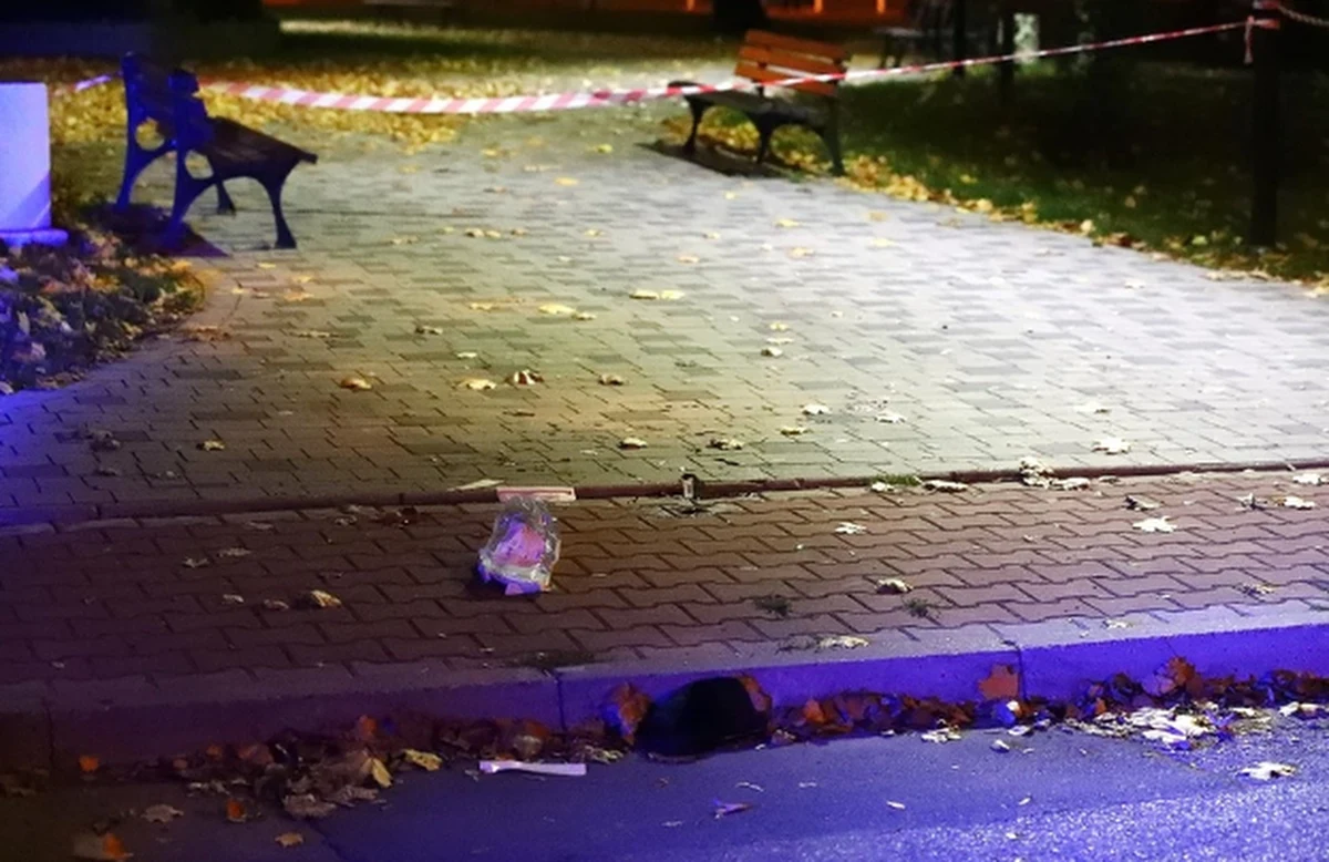 ​Na trzy miesiące sąd w Stalowej Woli aresztował 59-letniego Marka S. podejrzanego o usiłowanie zabójstwa więcej niż jednej osoby w strzelaninie, do której doszło w poniedziałek w Stalowej Woli. Rannych zostało dwóch mężczyzn. Do aresztu, również na trzy miesiące, trafił też 23-letni Filip S., syn Marka S.