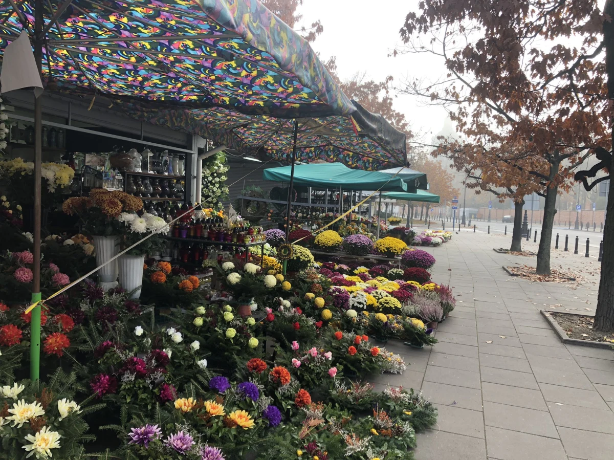 Od poniedziałku Zakład Zieleni Miejskiej w Katowicach rozpocznie akcję odkupywania od miejscowych przedsiębiorców roślin, których nie udało im się sprzedać przed cmentarzami.