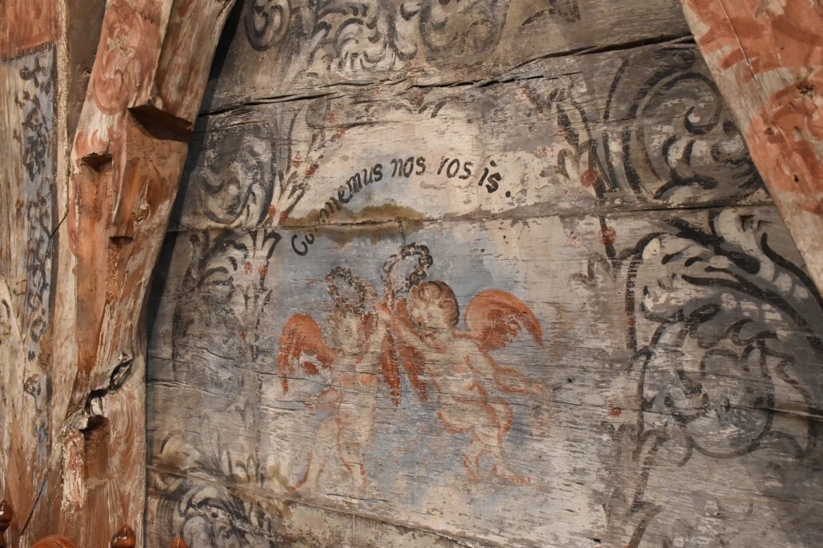 Z jednej strony scena dysputy biskupów, z drugiej postaci świeckich oraz aniołów. Do tego wielobarwne zacheusze, czyli krzyże malowane w miejscach, w których biskup dokonywał święceń kościoła. Niezwykłe malowidła odkryto podczas renowacji w Domachowie już ponad dwa lata temu, ale dopiero teraz zakończyła się ich konserwacja. Dzieła ówczesnych artystów lub artysty trzeba było odsłonić i wyczyścić, tak by w żaden sposób nie naruszać ich struktury. Zadania podjęli się konserwatorzy zabytków z Krakowa, a odkrycie pozwoliło doprecyzować rok oddania świątyni do użytku. Domachowski kościół, co zostało udowodnione naukowo – liczy ponad 650 lat, a nie jak przypuszczano do tej pory – 450. 