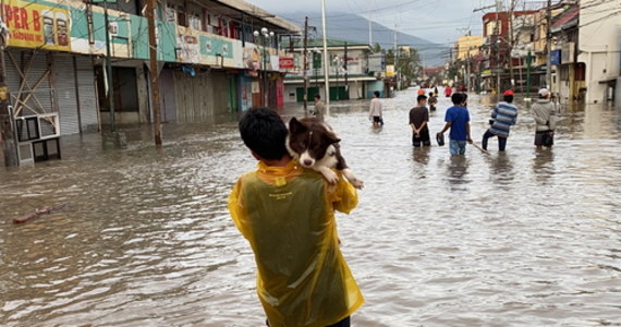 Supertajfun Goni, opisywany jako najsilniejszy w tym roku na świecie cyklon tropikalnym, uderzył w niedzielny poranek we wschodnie wybrzeże wysypy Luzon na Filipinach. Władze donoszą o co najmniej dziesięciu ofiarach żywiołu. Tysiące ludzi ewakuowano.