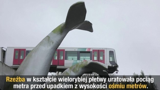 Rzeźba w kształcie wielorybiej płetwy uratowała pociąg metra przed upadkiem z wysokości ośmiu metrów. Do wypadku doszło w Spijkenisse, gdzie kończy się linia metra z Rotterdamu.