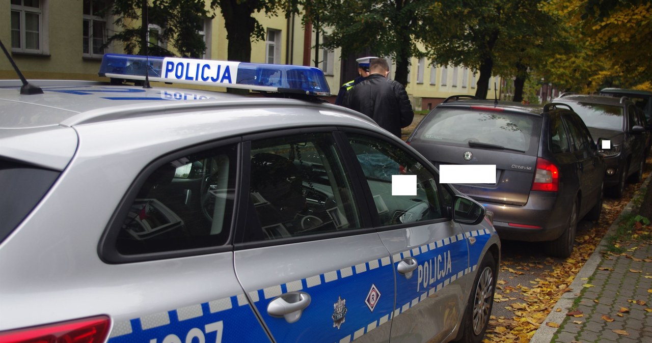 /Policja