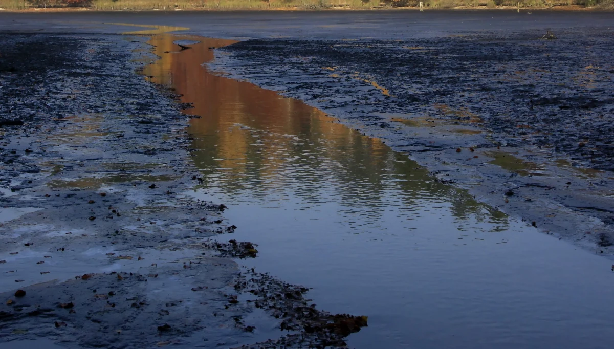 Dwóch braci w wieku 10 i 13 lat - łamiąc przepis o zakazie przemieszczania się osób do 16. roku życia bez opiekuna - wybrało się nad Stawy Stefańskiego w Łodzi. Dzieci utknęły w błocie i musiała interweniować straż pożarna. Ich opiekun musi się teraz liczyć z wysoką grzywną. 