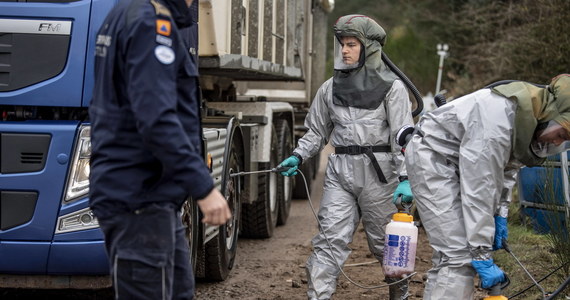 Duński rząd zdobył poparcie w parlamencie dla planu wybicia około 15 mln norek z powodu wykrycia na części farm mutacji koronawirusa. Wcześniejsza decyzja premier Danii Mette Frederiksen w tej sprawie nie miała podstaw prawnych. Duńskie media zajmuje jednak sprawa tysięcy martwych zwierząt, który wypadły na drogi z transportujących je ciężarówek.