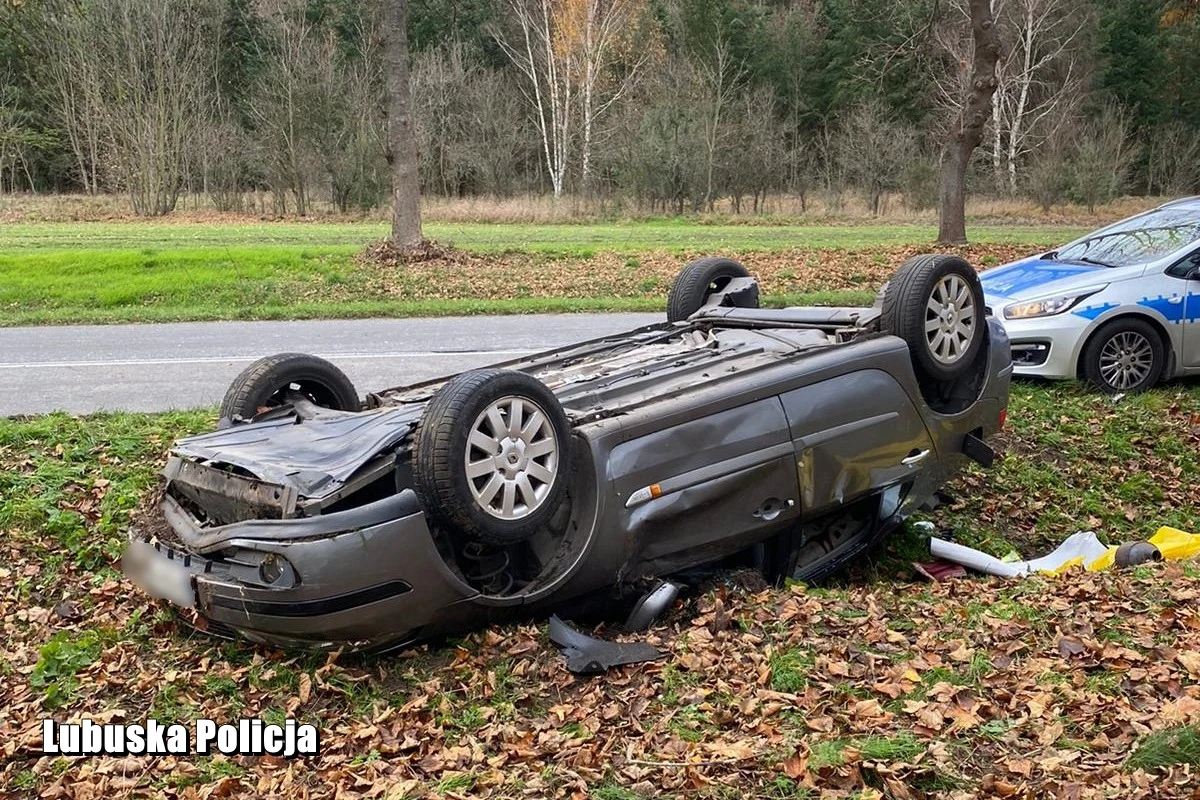 "Prawie trzy promile alkoholu miał w organizmie 59-latek, który po doprowadzeniu auta do dachowania uciekł do lasu. Zatrzymała go tam policjantka z ruchu drogowego" - poinformowała Justyna Kulka z Komendy Powiatowej Policji w Krośnie Odrzańskim.