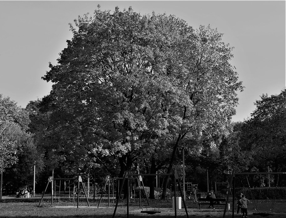 /Bogdan Zalewski /RMF FM