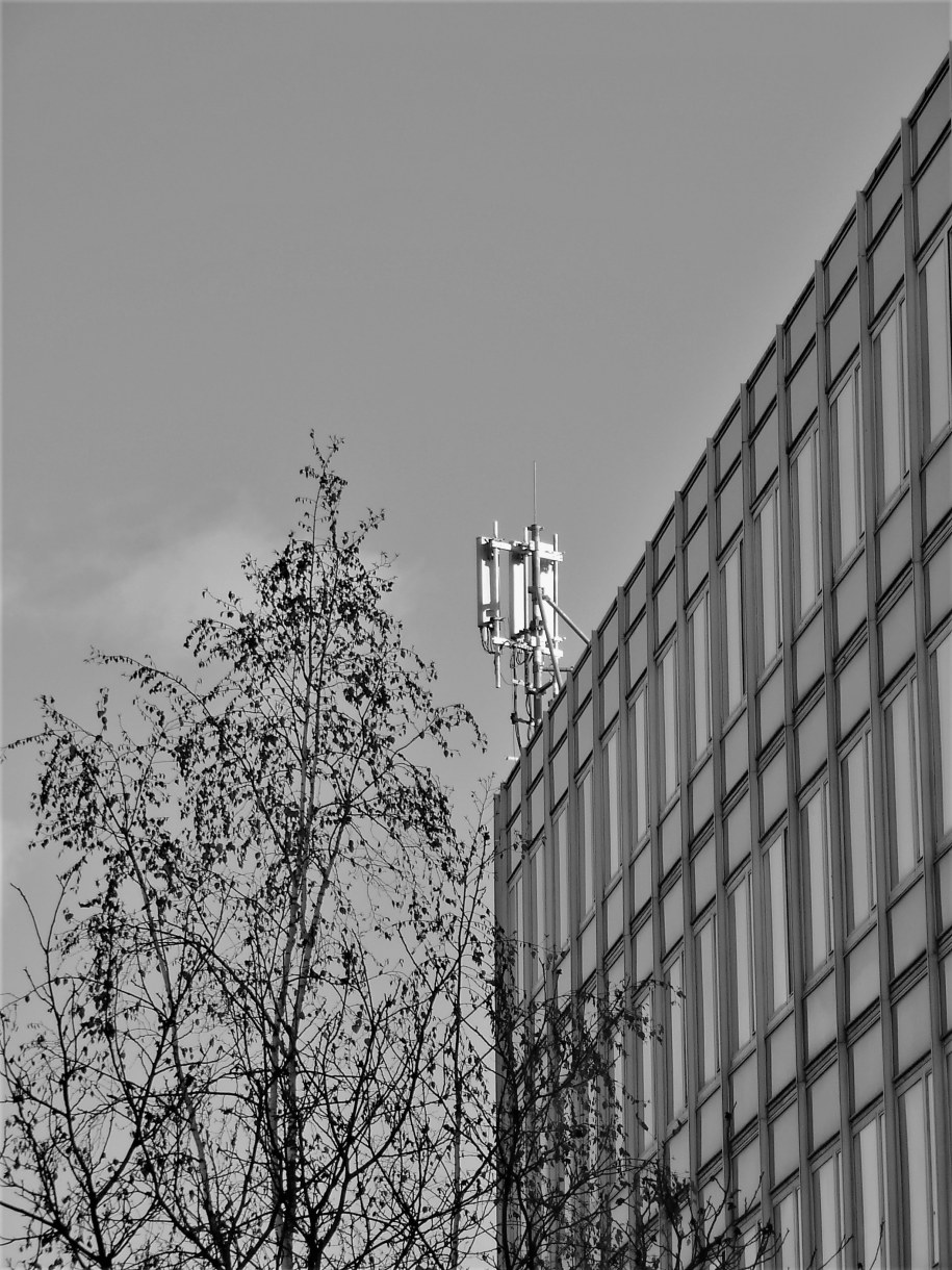 /Bogdan Zalewski /RMF FM