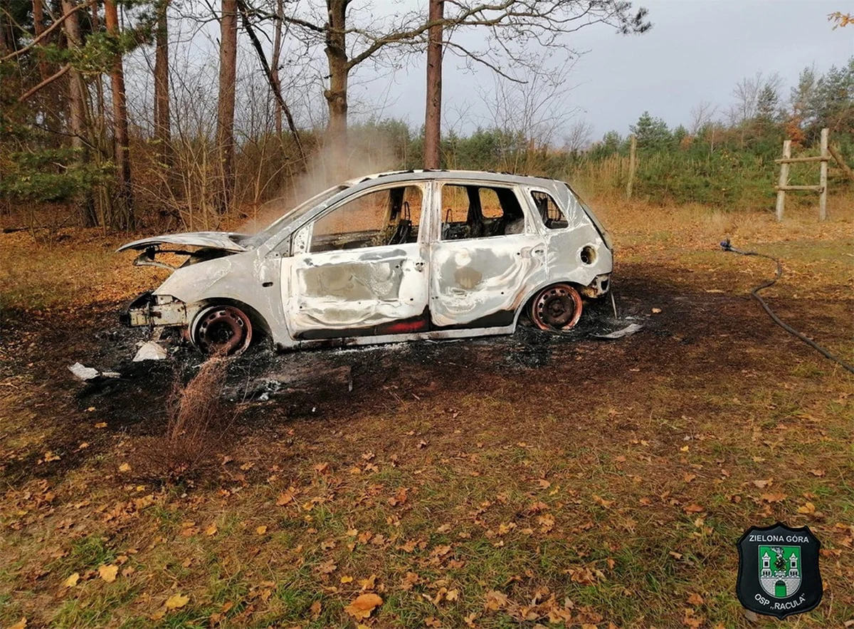 W Zielonej Górze w spalonym samochodzie strażacy znaleźli ludzkie kości i dwie łopaty. Sprawa wyglądała poważnie i tak też została potraktowana. Śledczy ustalili, że kości pochodzą z wykopalisk archeologicznych – poinformowała w poniedziałek Małgorzata Barska z Komendy Miejskiej Policji w Zielonej Górze.