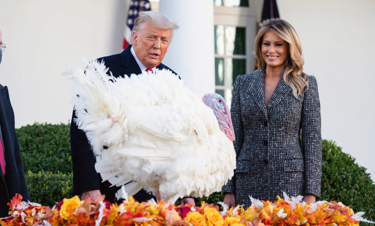 Prezydent USA Donald Trump, na dwa dni przed Świętem Dziękczynienia, zgodnie z tradycją ułaskawił dwa indyki. Corn i Cob nie trafią na świąteczny stół, resztę życia spędzą na uczelnianym kampusie w Iowa.