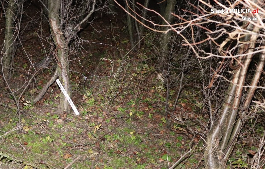 /foto. Policja Gliwice /
